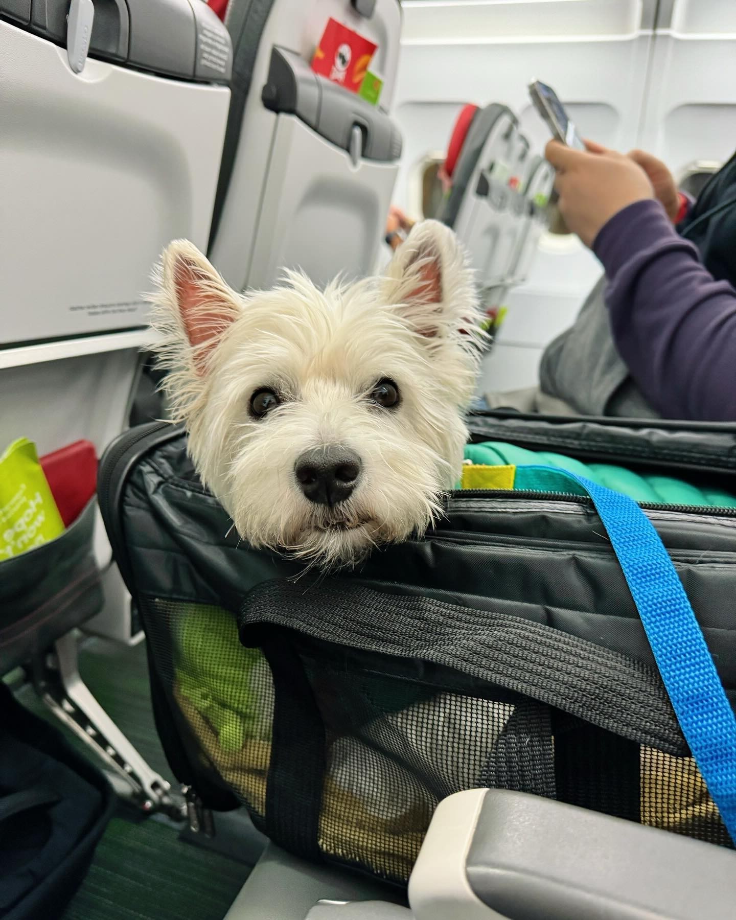In-Cabin Comfort